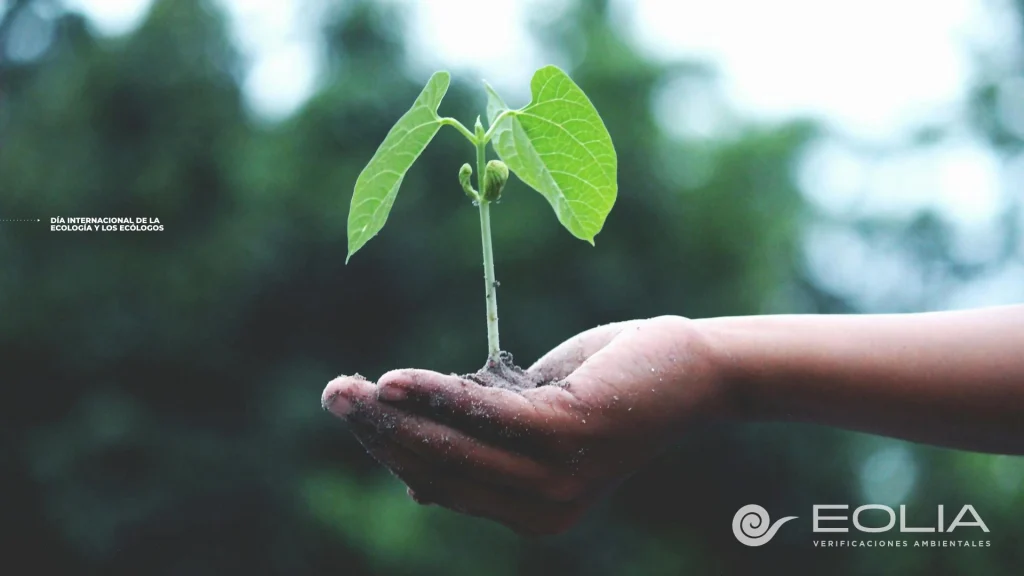 1 de noviembre - Día Internacional de la Ecología y los Ecólogos - 03