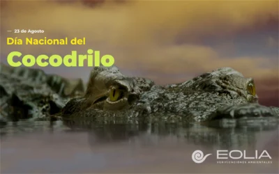 23 de agosto – Día Nacional del Cocodrilo