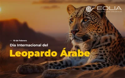 10 de febrero – Día Internacional del Leopardo Árabe