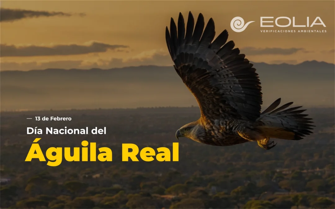 13 de febrero – Día Nacional del Águila Real