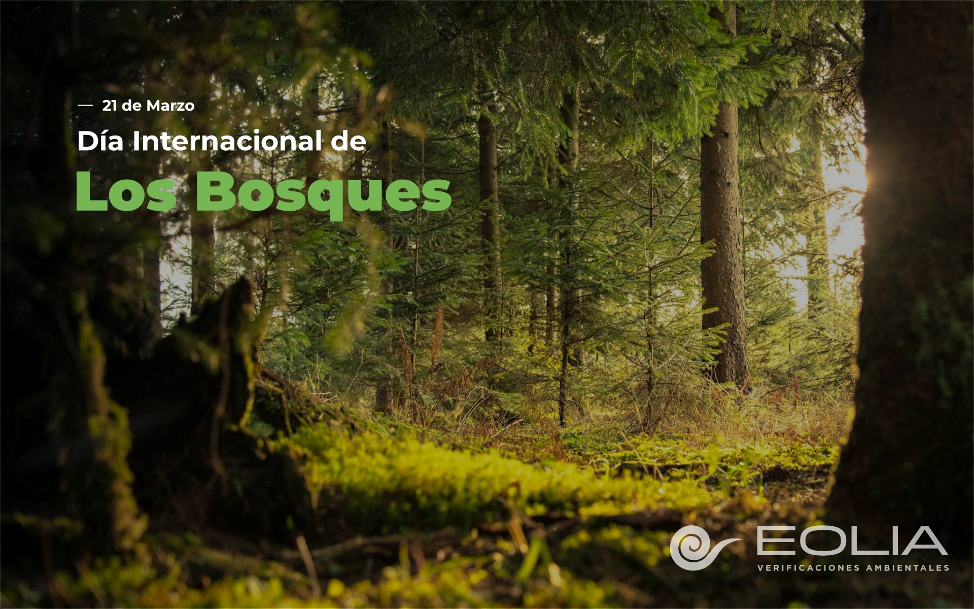 26 de julio - Día Internacional para la Protección de los Manglares - 02