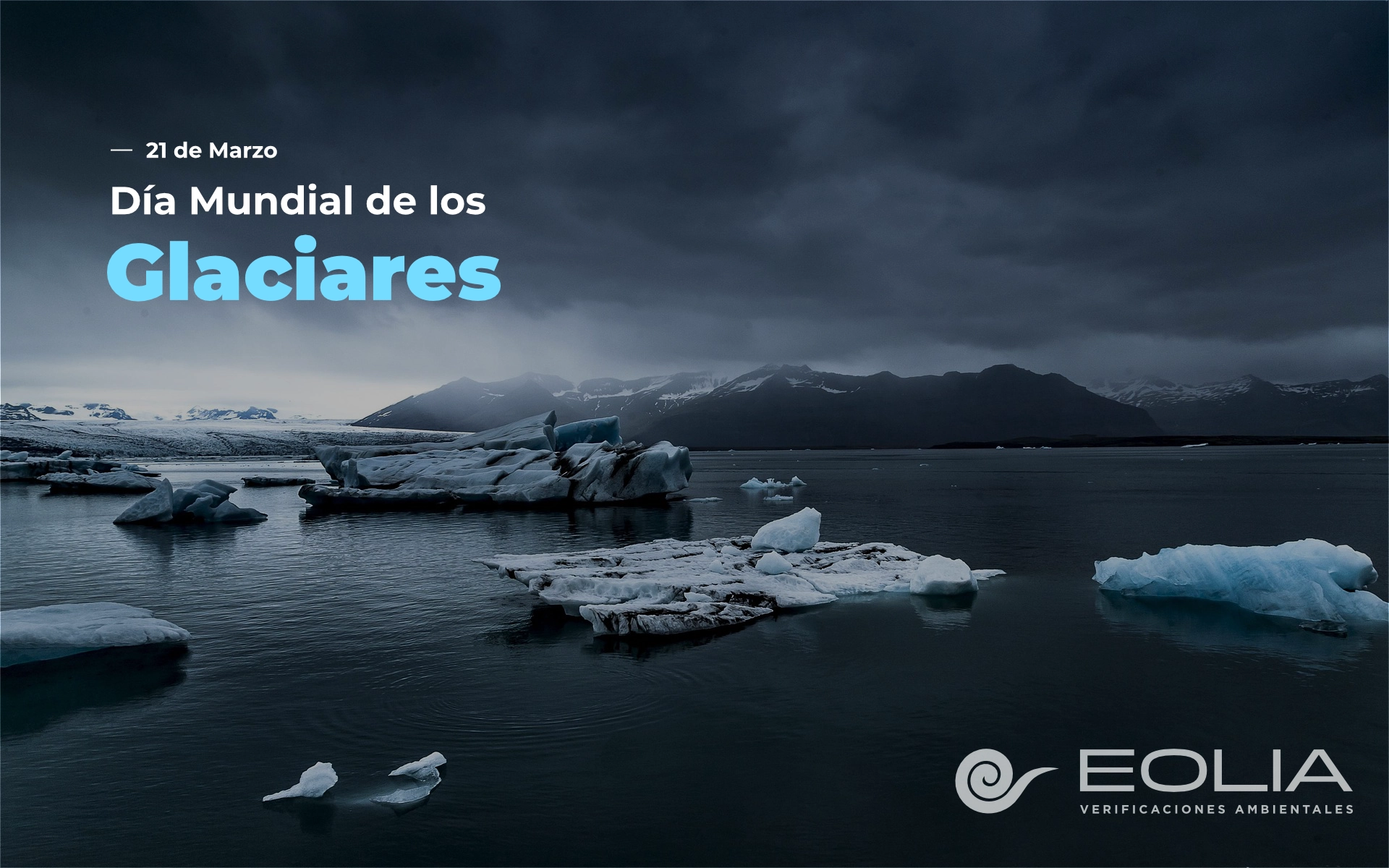26 de julio - Día Internacional para la Protección de los Manglares - 02