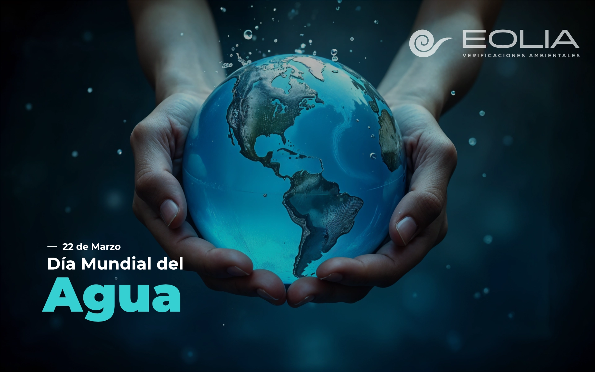 26 de julio - Día Internacional para la Protección de los Manglares - 02