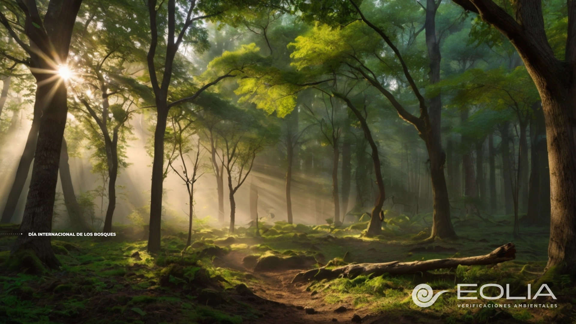 21 de Marzo - Día Internacional de los Bosques - 02 21 de Marzo - Día Internacional de los Bosques - 02